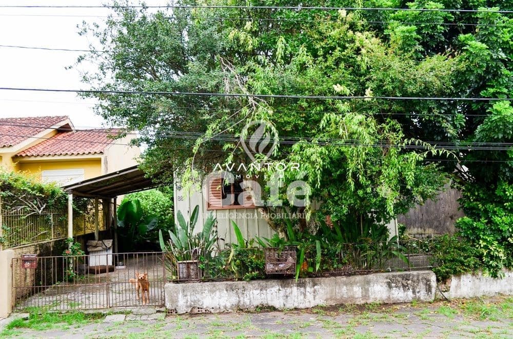 Fachada da casa com quintal arbor — Terreno à venda em Nossa Senhora das Dores, Santa Maria/RS