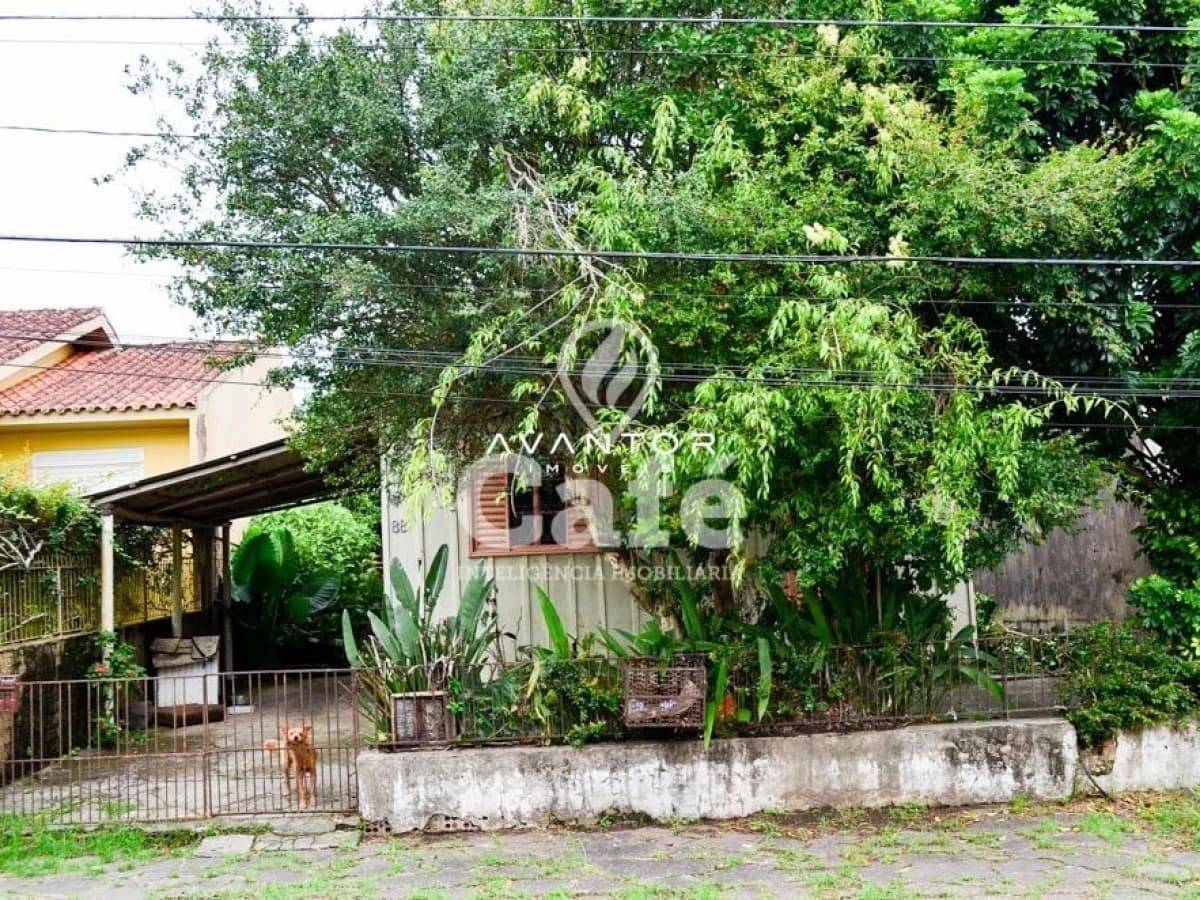 Fachada da casa com quintal arbor — Terreno à venda em Nossa Senhora das Dores, Santa Maria/RS