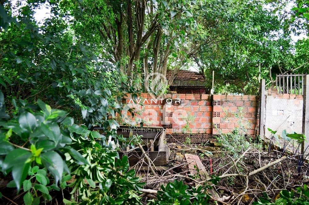 Terreno à venda em Nossa Senhora das Dores, Santa Maria/RS — foto 3 de 6