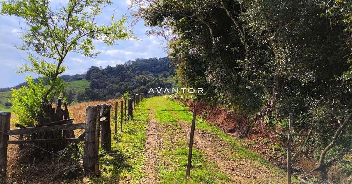 Terreno com cerca de madeira e vegetação — Campo à venda em Zona rural, Toropi/RS