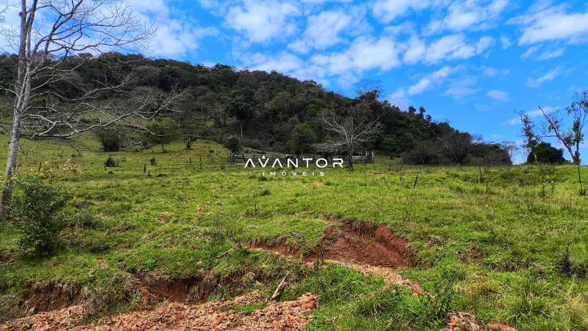 Campo à venda em Zona rural, Toropi/RS — foto 3 de 8