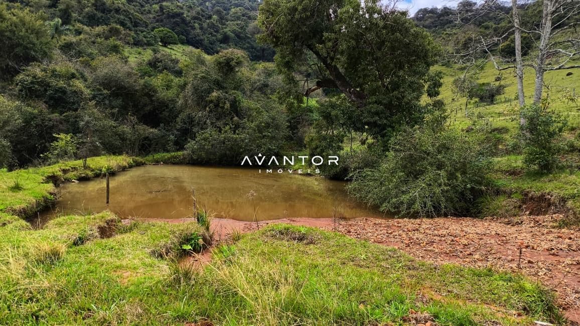 Campo à venda em Zona rural, Toropi/RS — foto 4 de 8