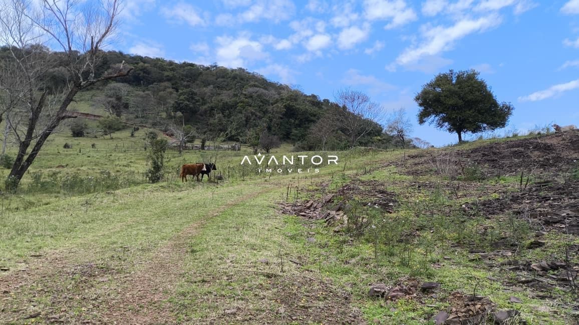 Campo à venda em Zona rural, Toropi/RS — foto 5 de 8