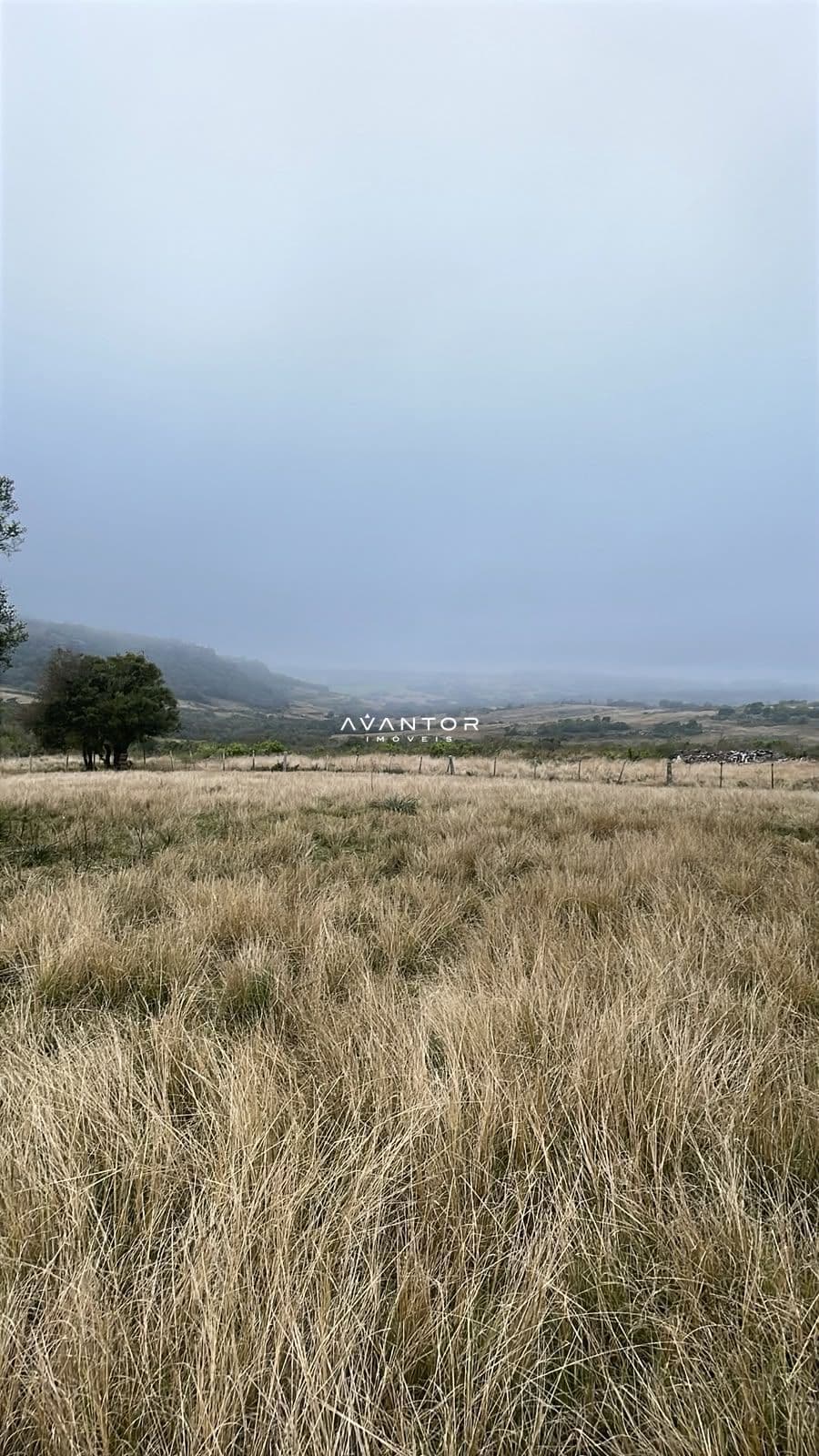 Fazenda com 3 quartos à venda em Zona rural, Santana da Boa Vista/RS — foto 2 de 13