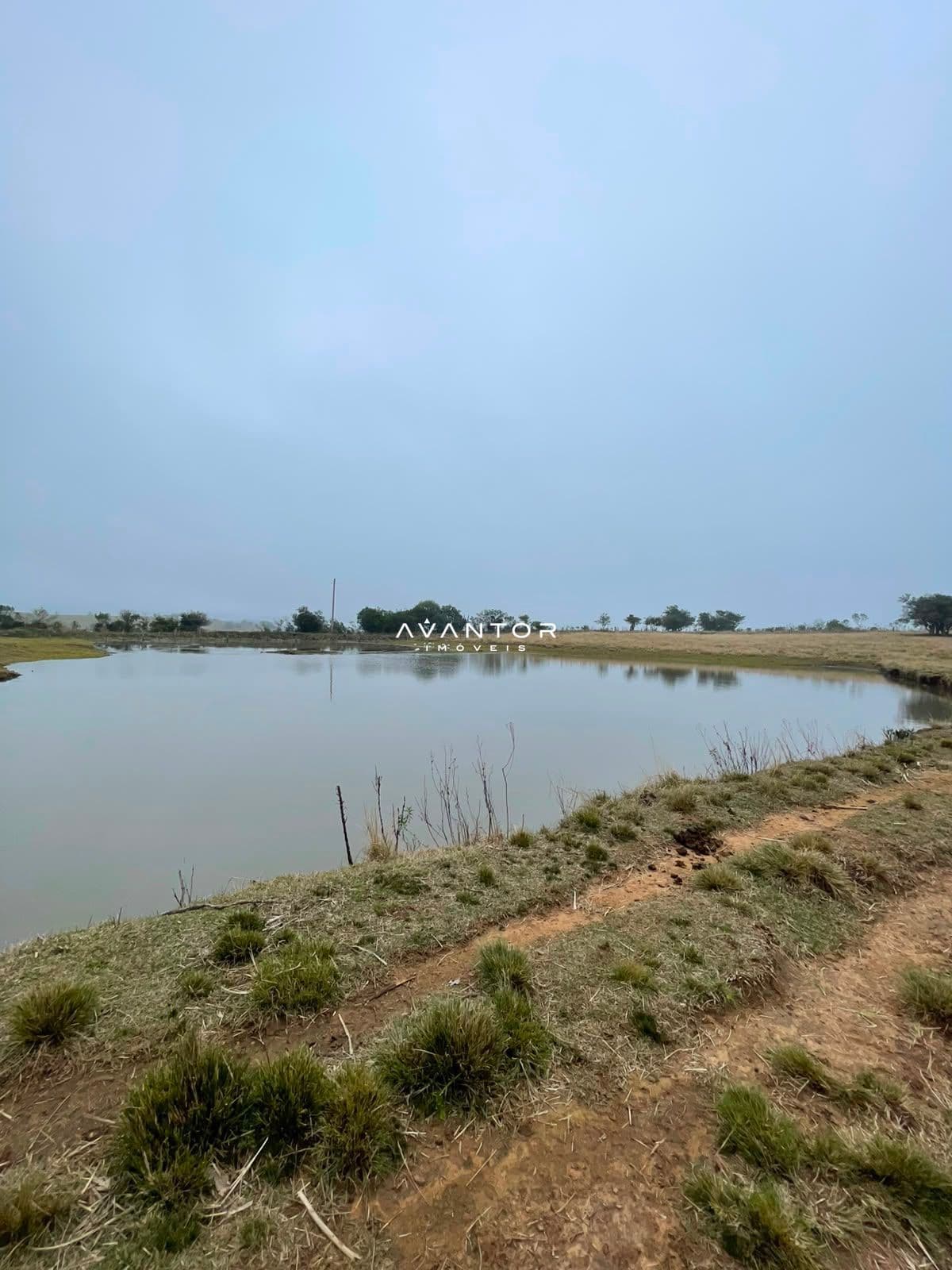 Fazenda com 3 quartos à venda em Zona rural, Santana da Boa Vista/RS — foto 3 de 13