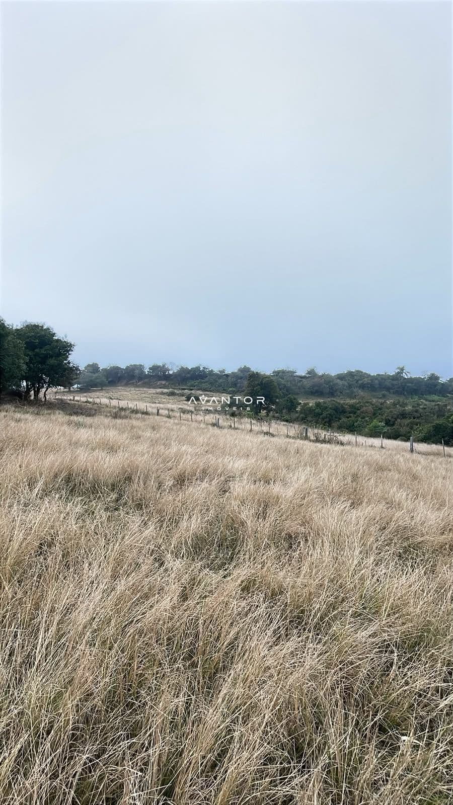 Fazenda com 3 quartos à venda em Zona rural, Santana da Boa Vista/RS — foto 6 de 13