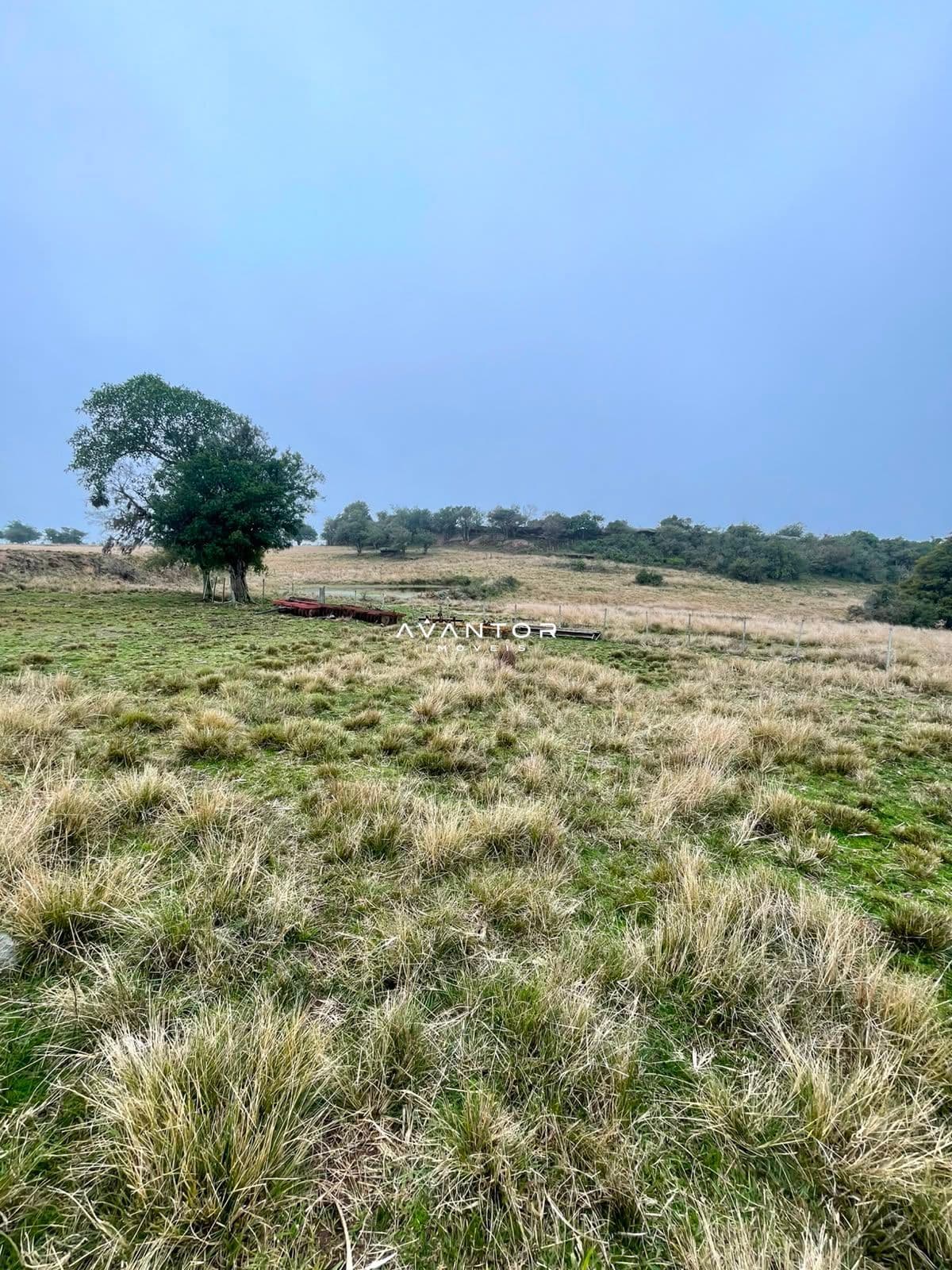 Fazenda com 3 quartos à venda em Zona rural, Santana da Boa Vista/RS — foto 8 de 13