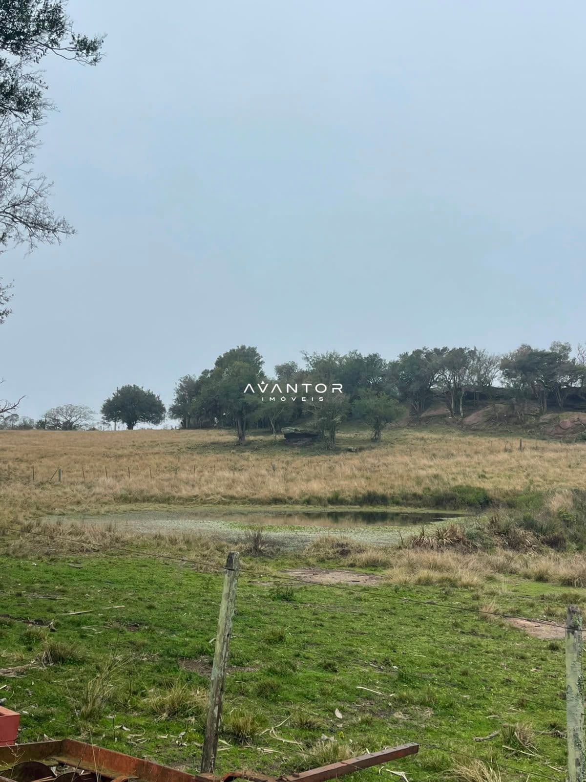 Fazenda com 3 quartos à venda em Zona rural, Santana da Boa Vista/RS — foto 9 de 13