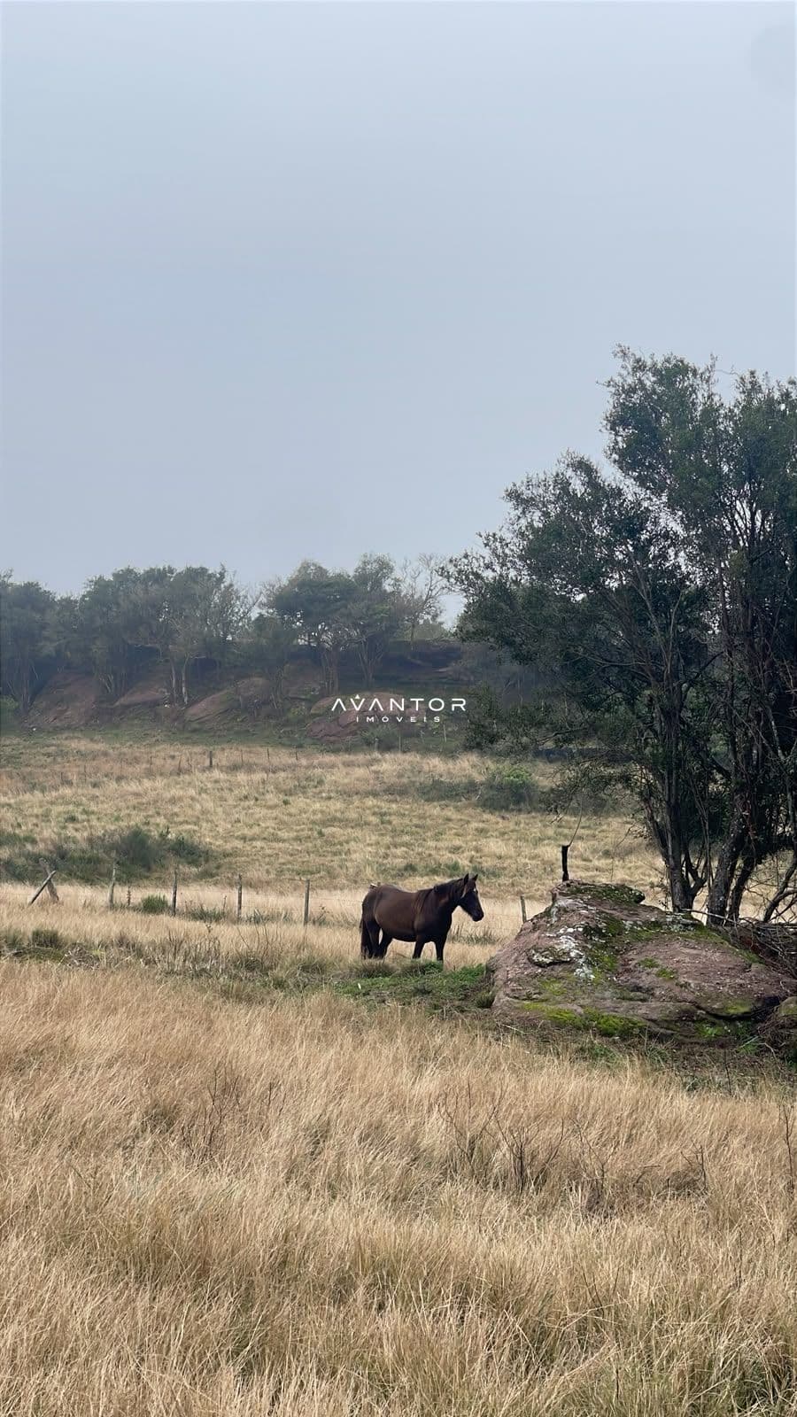 Fazenda com 3 quartos à venda em Zona rural, Santana da Boa Vista/RS — foto 11 de 13