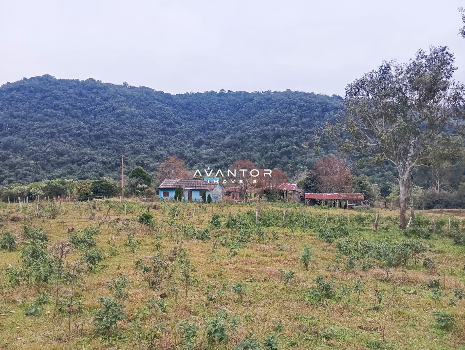 Campo à venda em Zona rural, Toropi/RS — foto 3 de 11