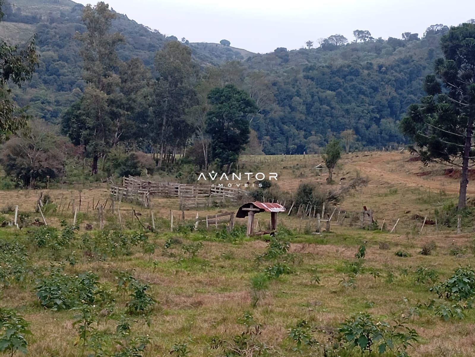 Campo à venda em Zona rural, Toropi/RS — foto 6 de 11