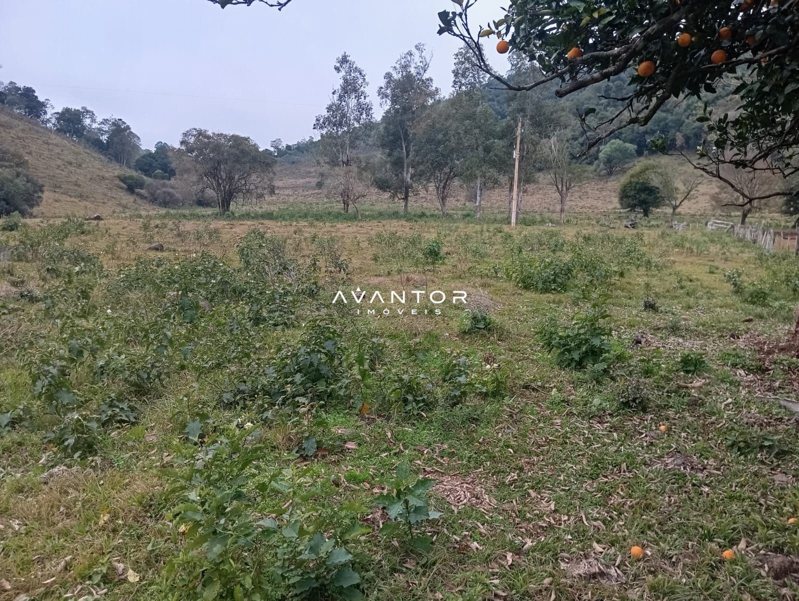 Campo à venda em Zona rural, Toropi/RS — foto 7 de 11