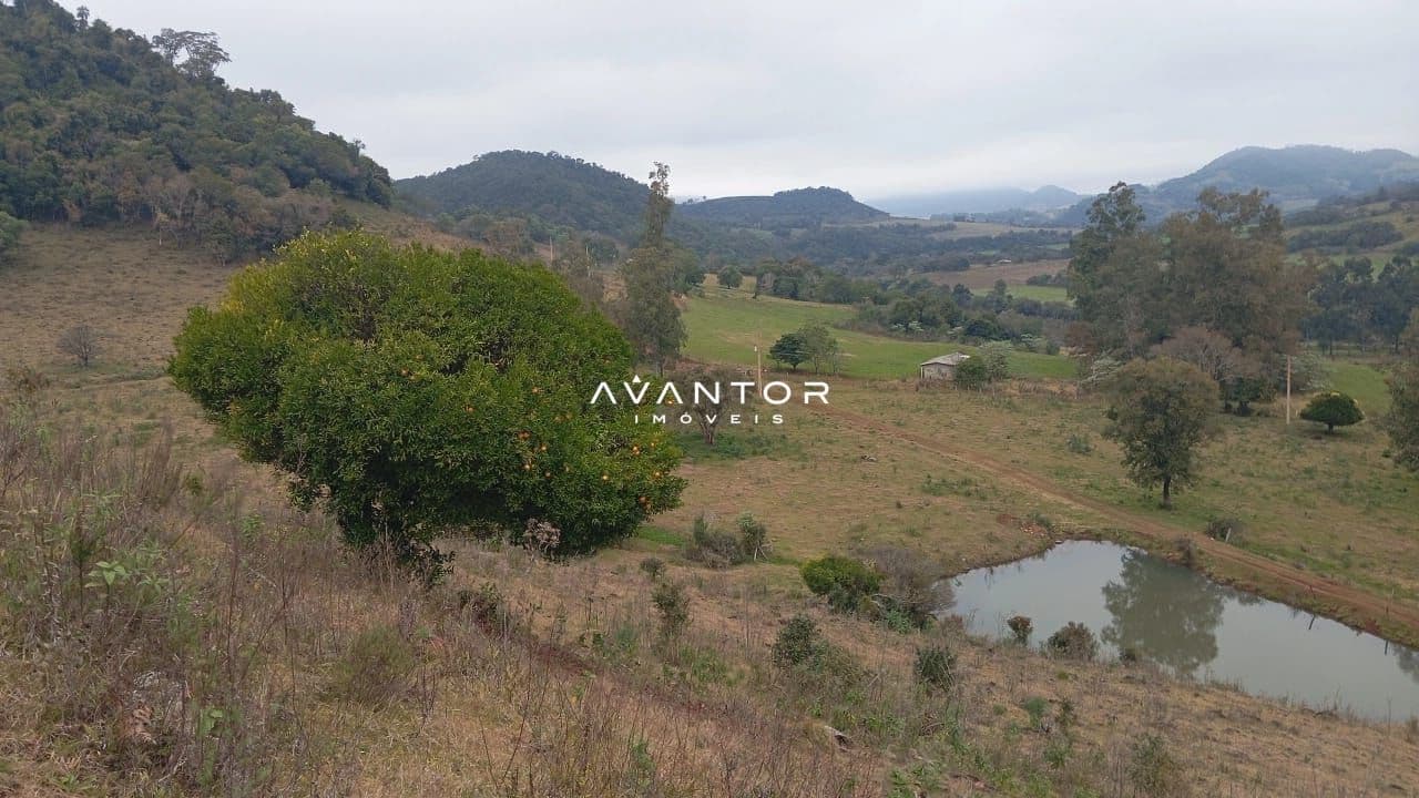 Campo à venda em Zona rural, Toropi/RS — foto 9 de 11