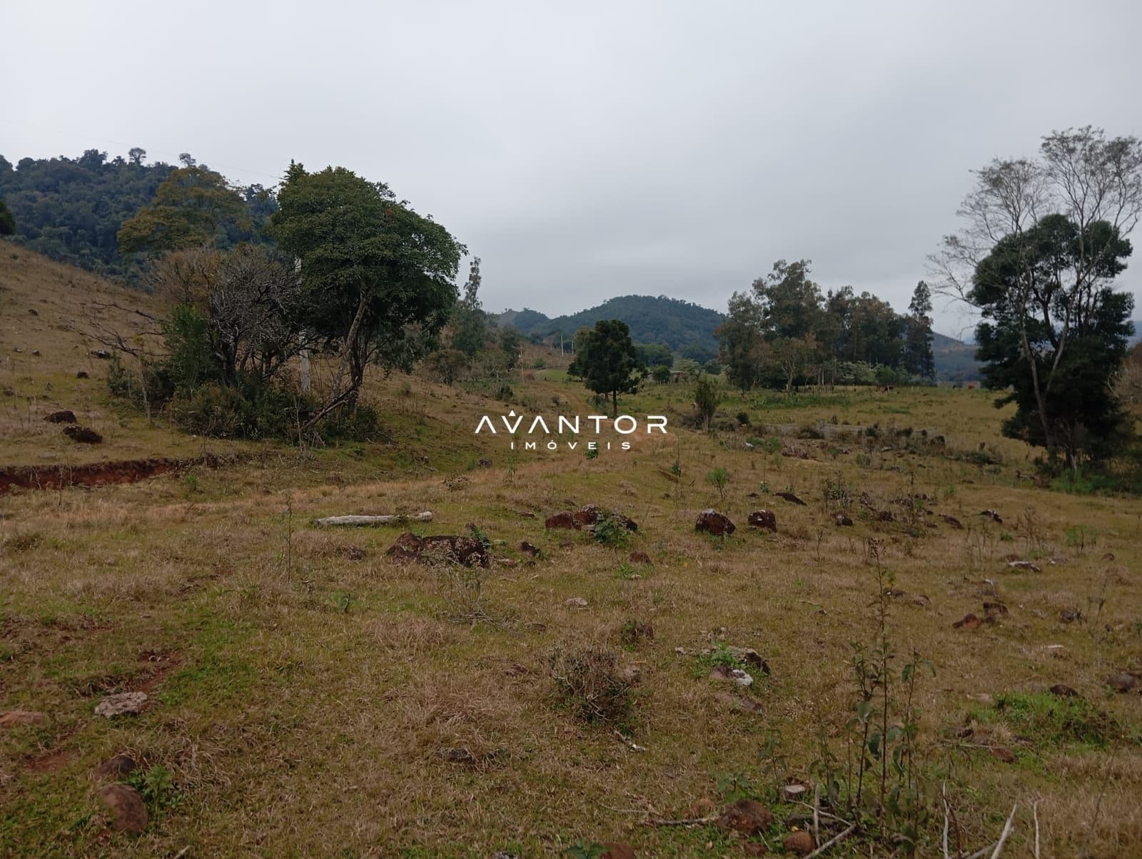 Campo à venda em Zona rural, Toropi/RS — foto 10 de 11