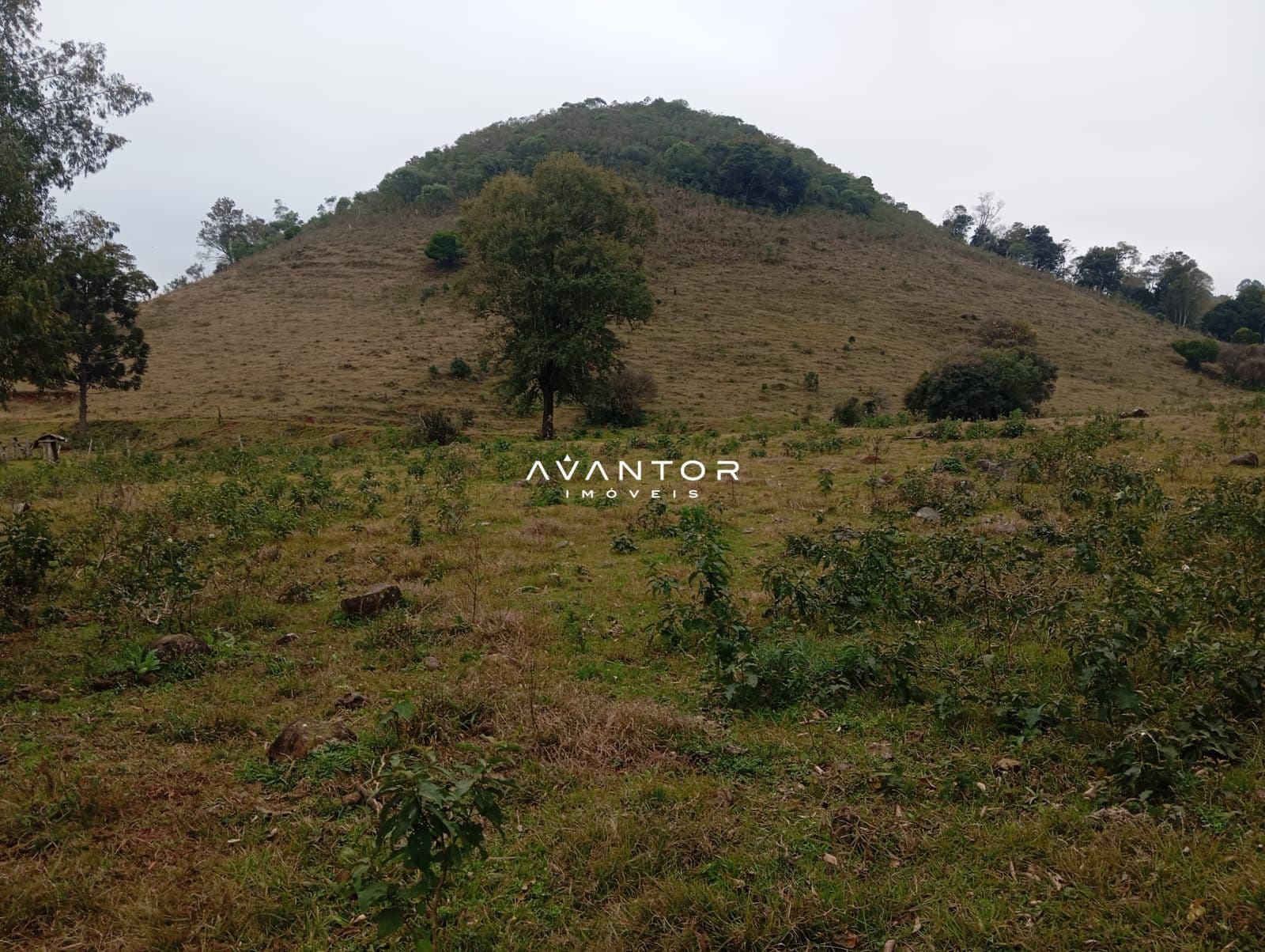 Campo à venda em Zona rural, Toropi/RS — foto 11 de 11
