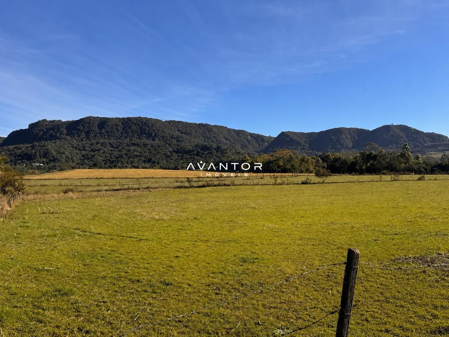 Campo à venda em Vale Veneto, São João do Polêsine/RS — foto 2 de 4