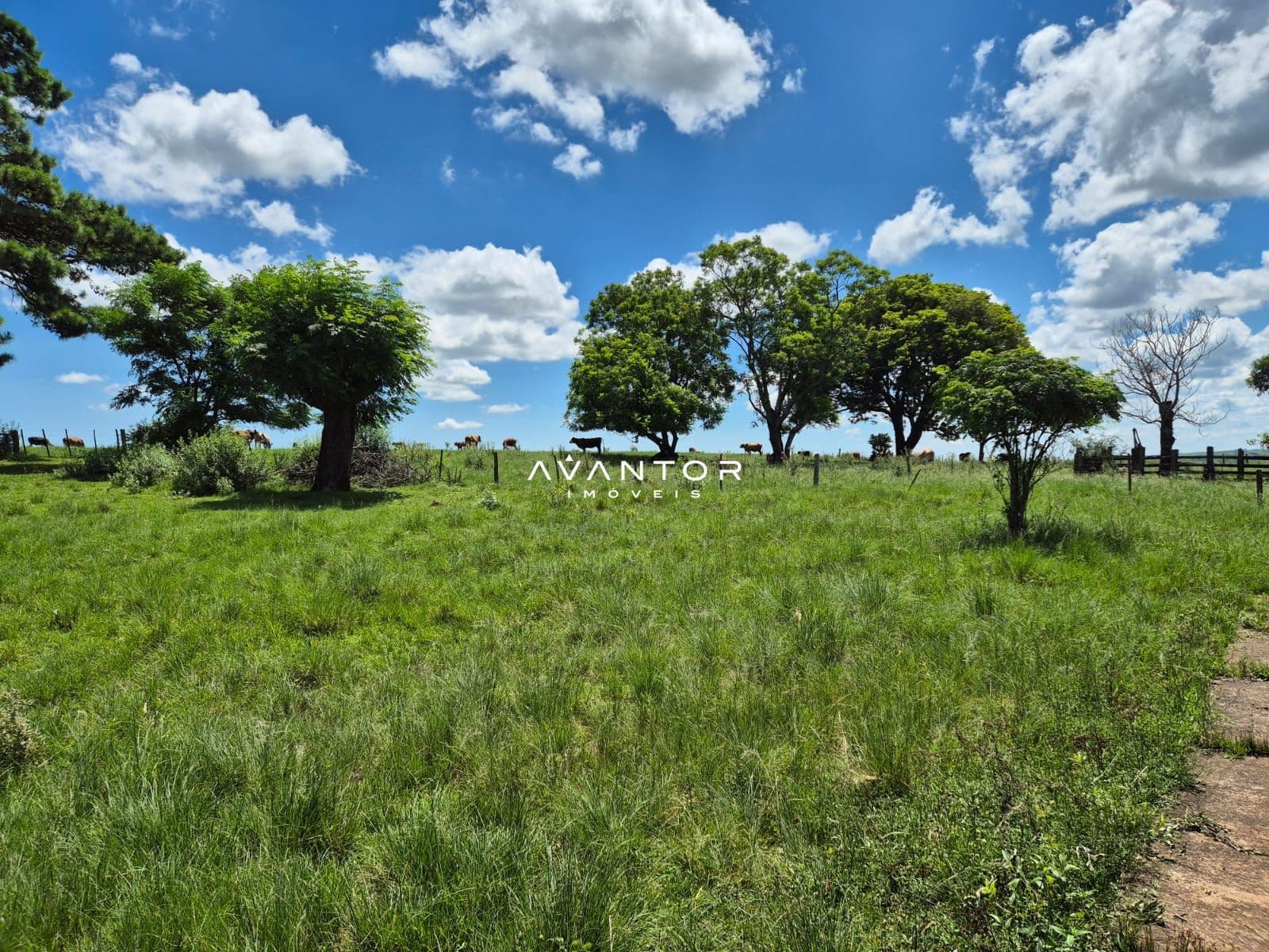 Campo à venda em Balneário Caverá, Alegrete/RS — foto 2 de 10