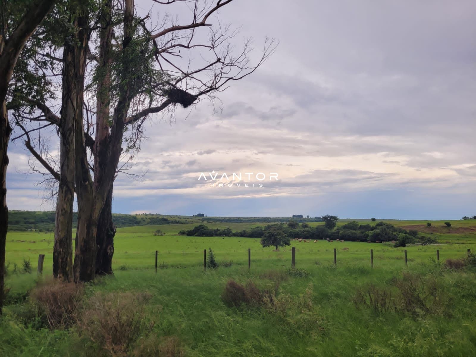 Campo à venda em Balneário Caverá, Alegrete/RS — foto 3 de 10