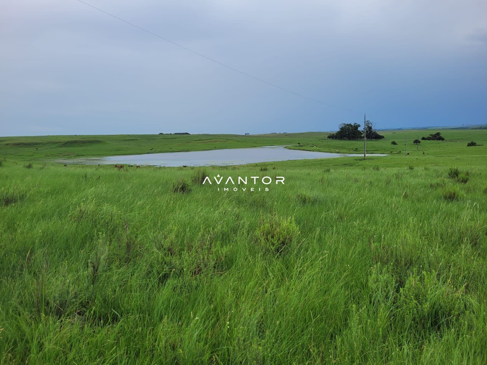 Campo à venda em Balneário Caverá, Alegrete/RS — foto 4 de 10