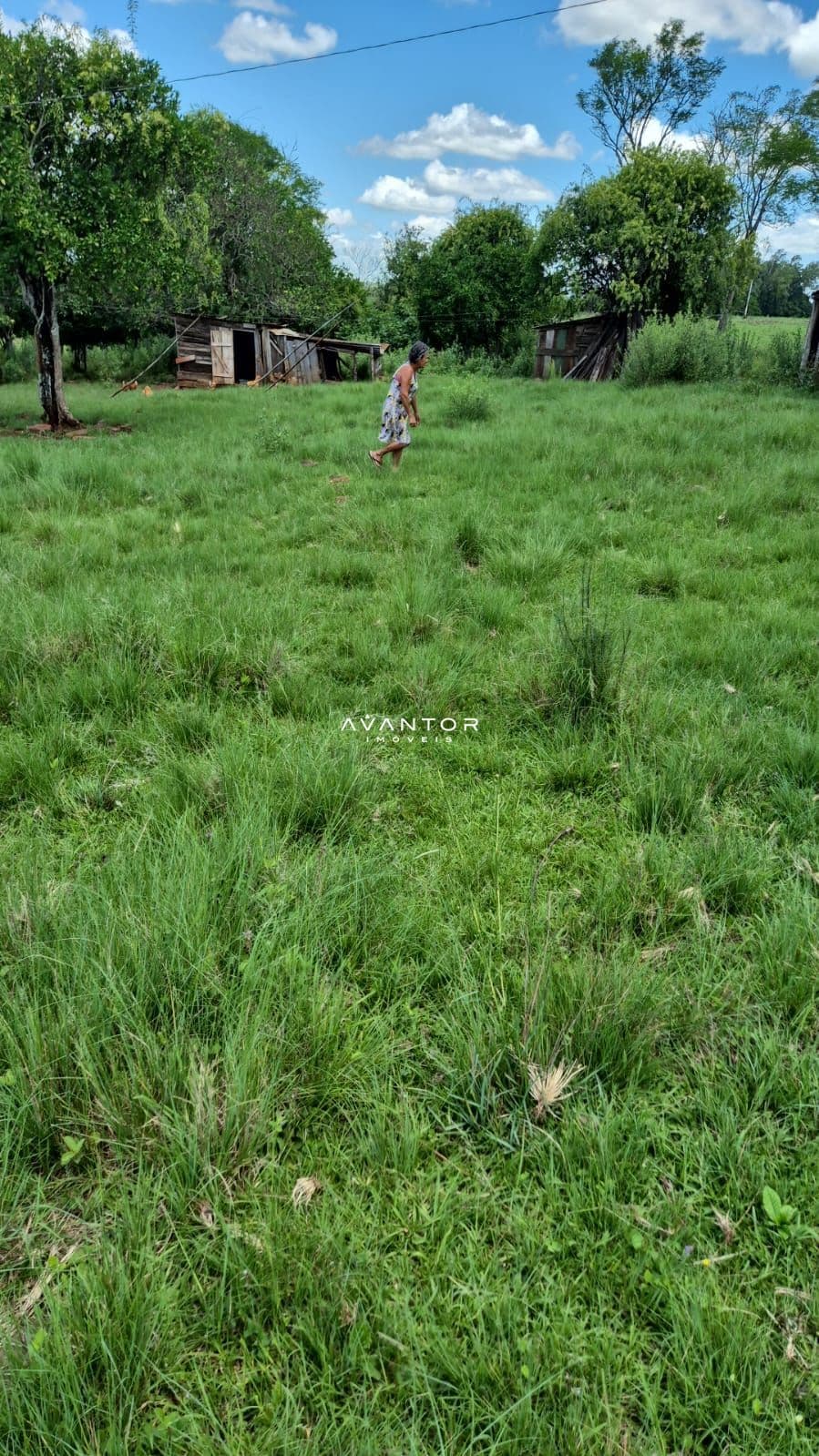 Campo à venda em Balneário Caverá, Alegrete/RS — foto 5 de 10