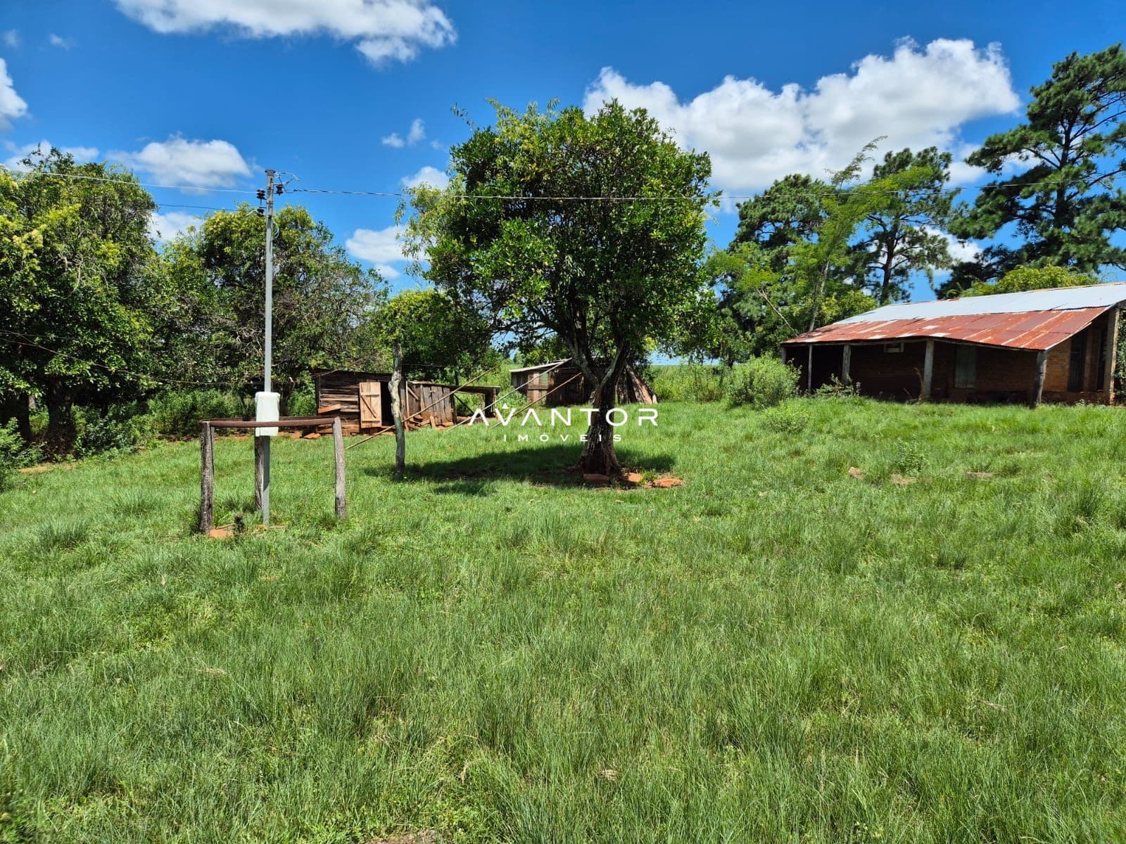 Campo à venda em Balneário Caverá, Alegrete/RS — foto 6 de 10