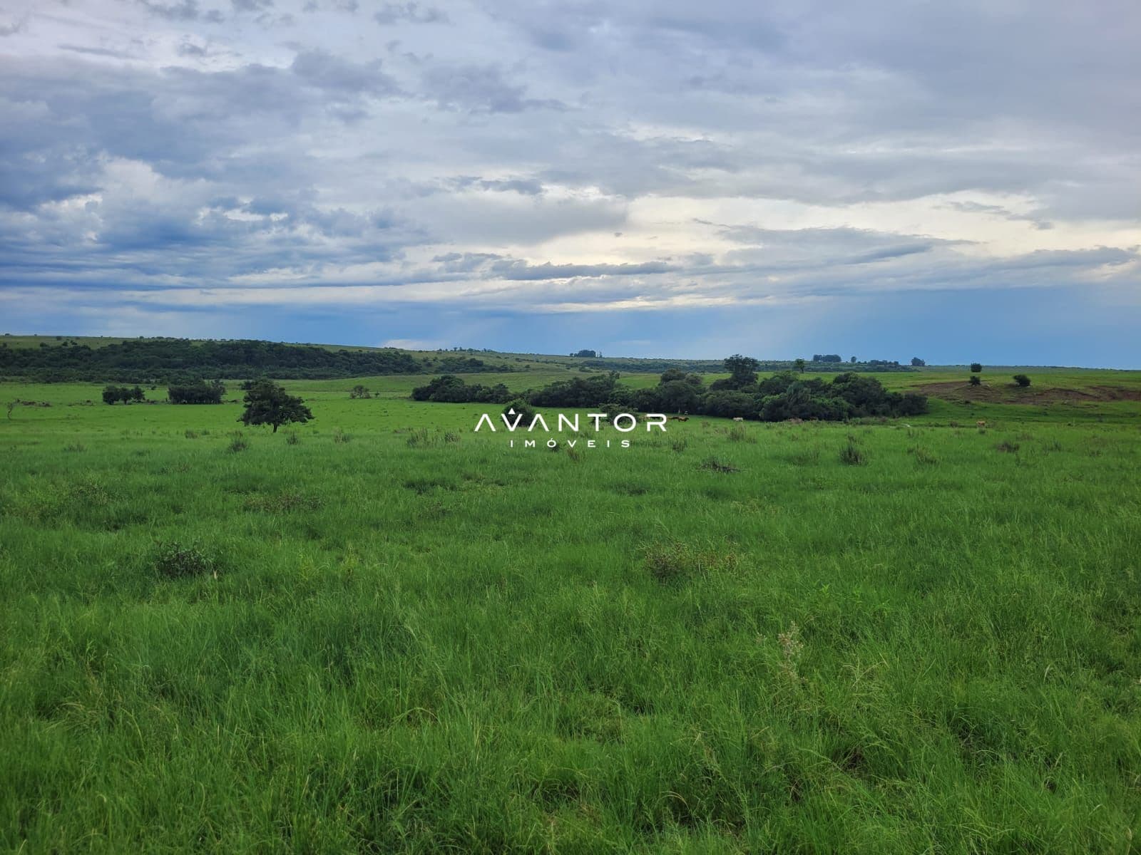 Campo à venda em Balneário Caverá, Alegrete/RS — foto 7 de 10