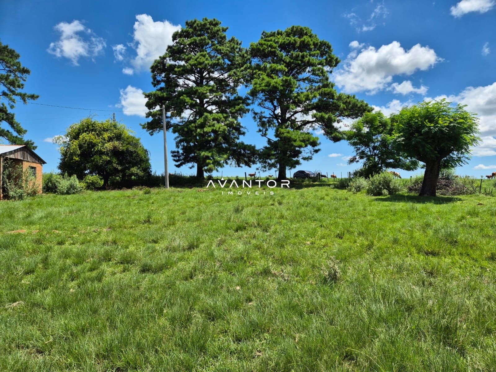 Campo à venda em Balneário Caverá, Alegrete/RS — foto 8 de 10