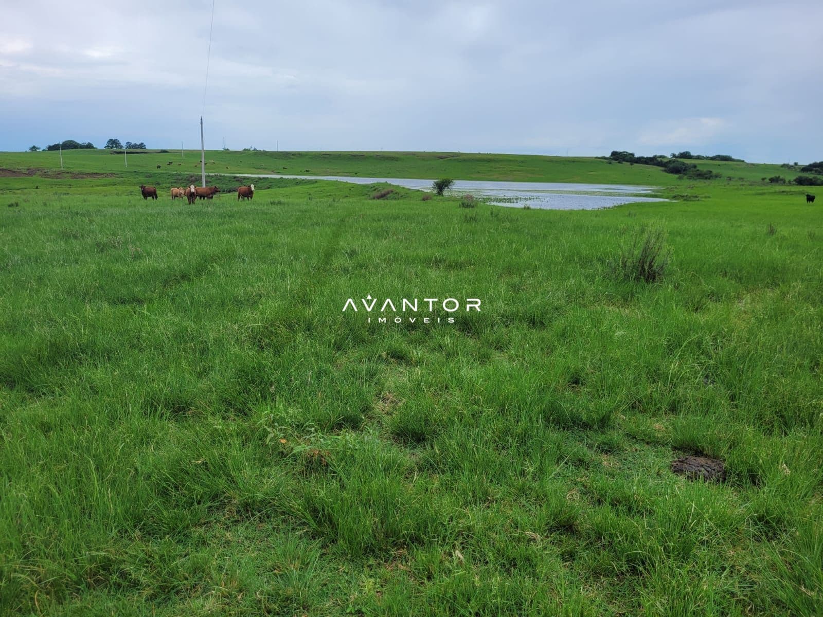 Campo à venda em Balneário Caverá, Alegrete/RS — foto 10 de 10