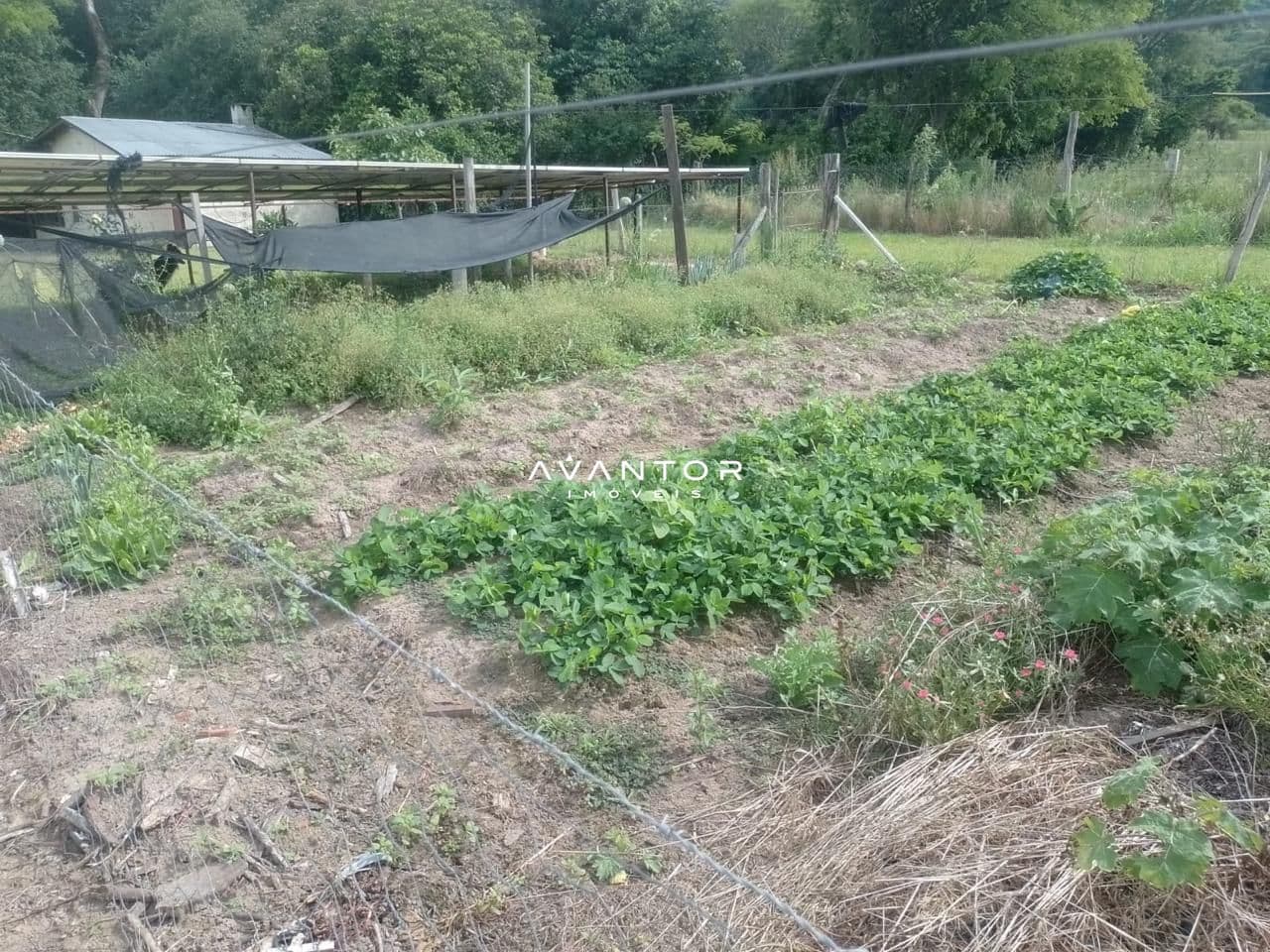 Chácara com 2 quartos à venda em Arroio Grande, Santa Maria/RS — foto 5 de 9