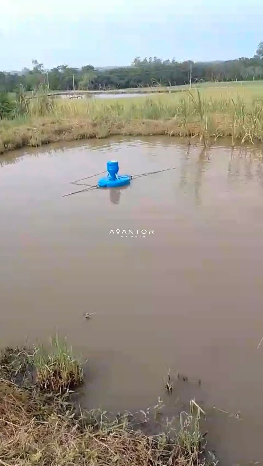 Chácara com 2 quartos à venda em Arroio Grande, Santa Maria/RS — foto 9 de 9