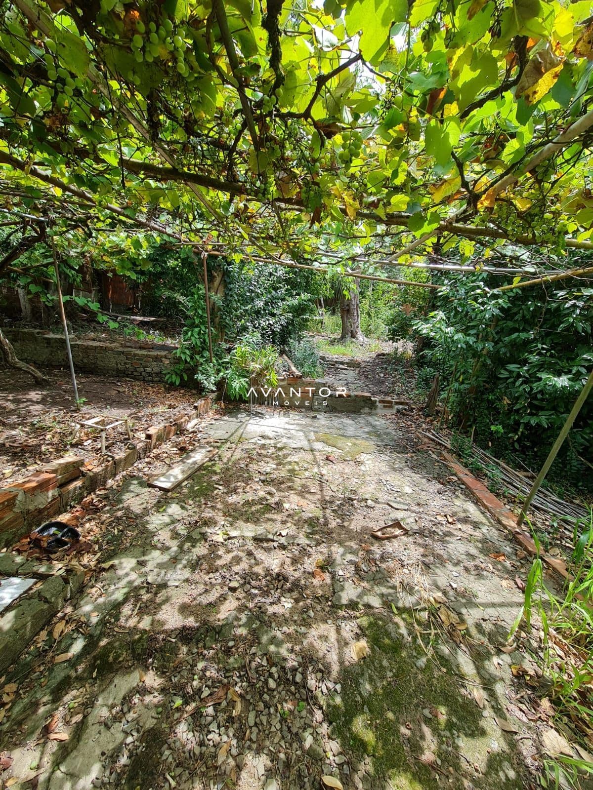 Terreno à venda em Nossa Senhora de Lourdes, Santa Maria/RS — foto 4 de 10