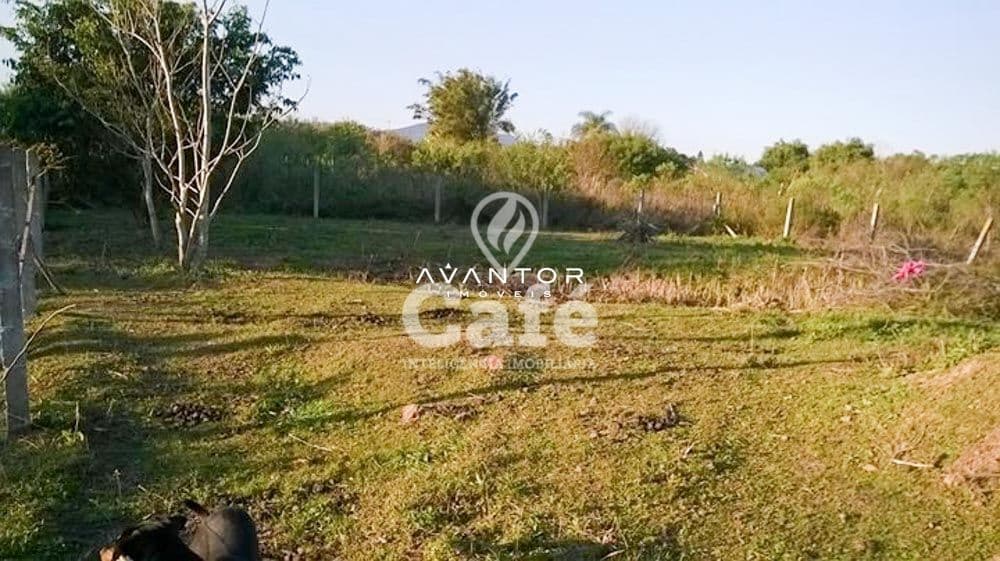 Terreno com área verde e vegetação — Terreno à venda em Diácono João Luiz Pozzobon, Santa Maria/RS