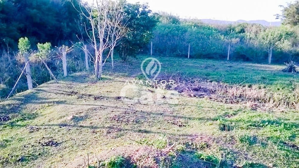 Terreno à venda em Diácono João Luiz Pozzobon, Santa Maria/RS — foto 3 de 5