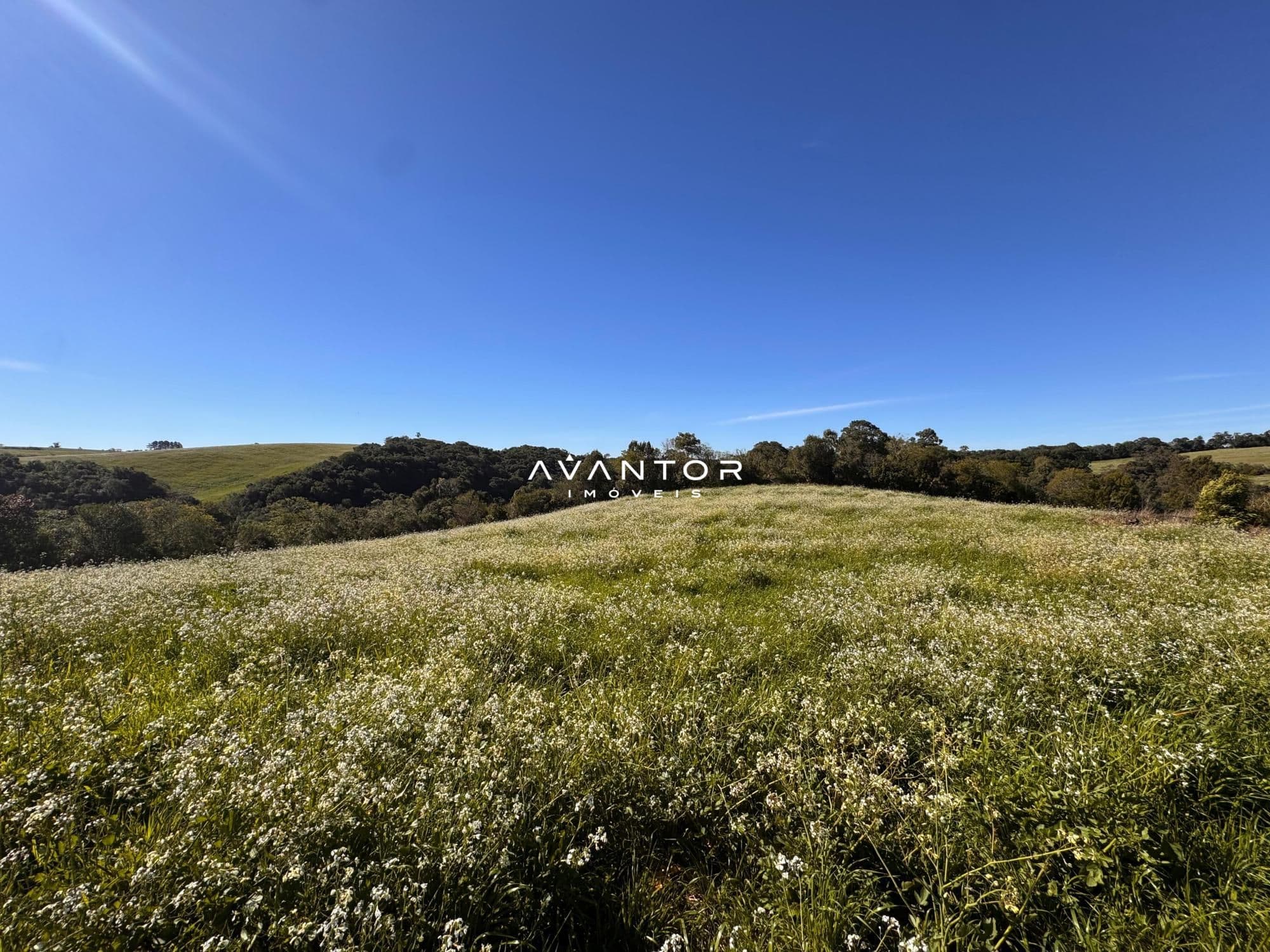 Campo à venda em Silveira Martins, Silveira Martins/RS — foto 4 de 6