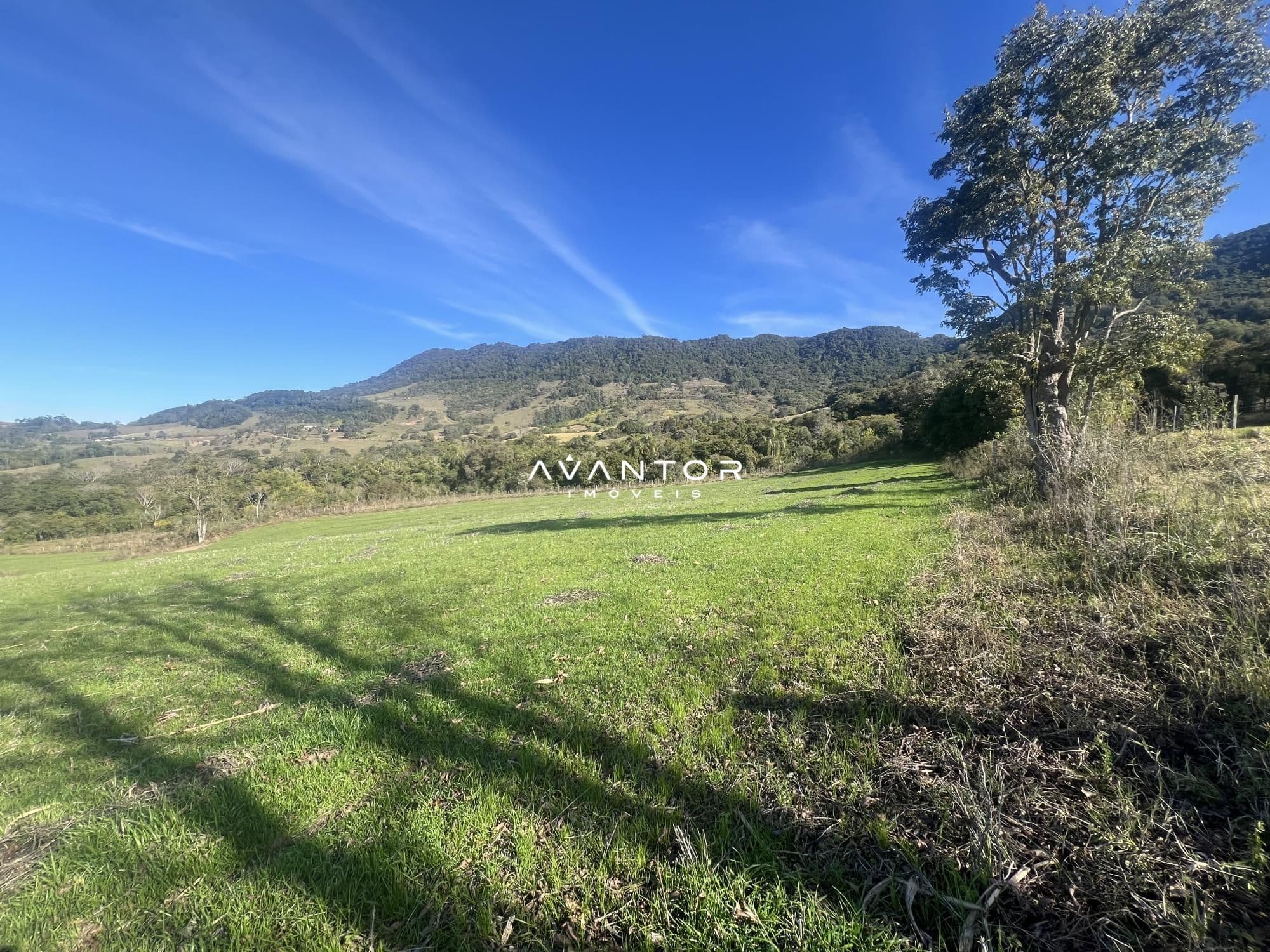 Campo à venda em Zona rural, São João do Polêsine/RS — foto 8 de 8