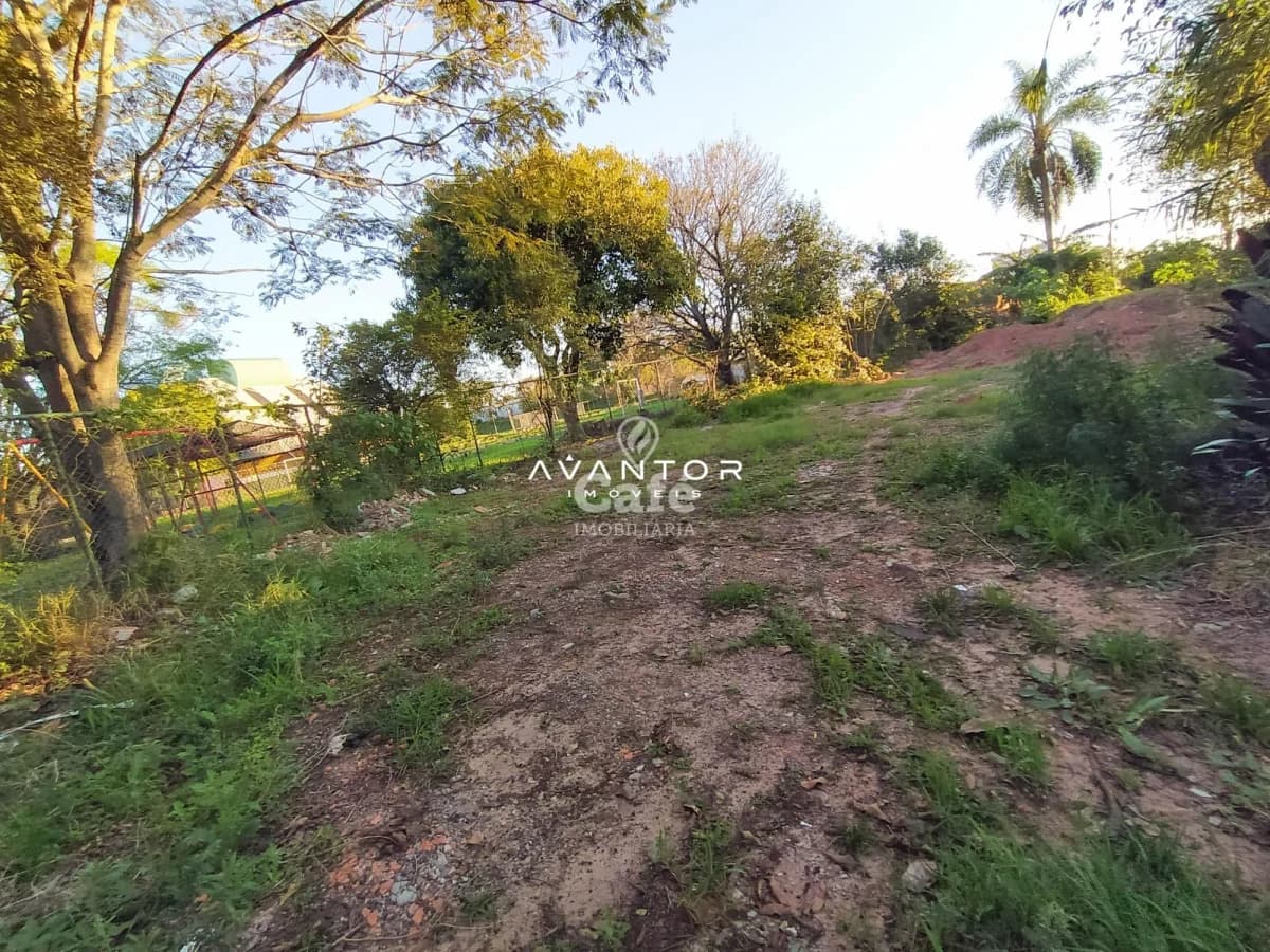 Terreno com árvores e vegetação — Terreno à venda em Lorenzi, Santa Maria/RS