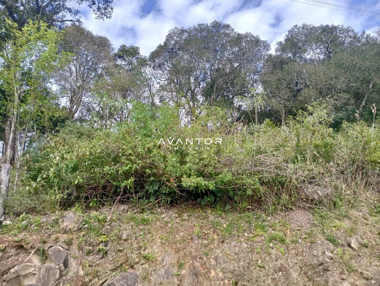 Terreno com mata nativa e árvores — Terreno à venda em Parque Serrano, Itaara/RS