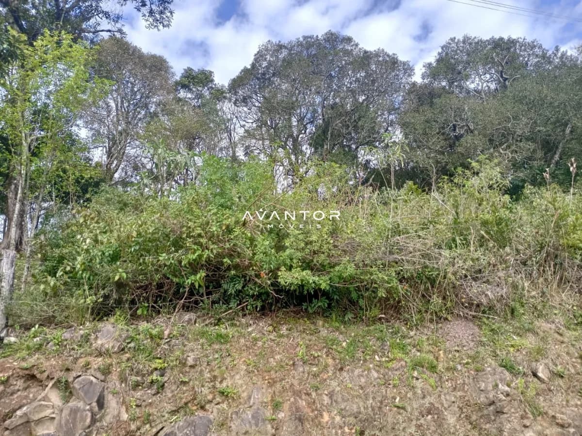 Terreno com mata nativa e árvores — Terreno à venda em Parque Serrano, Itaara/RS