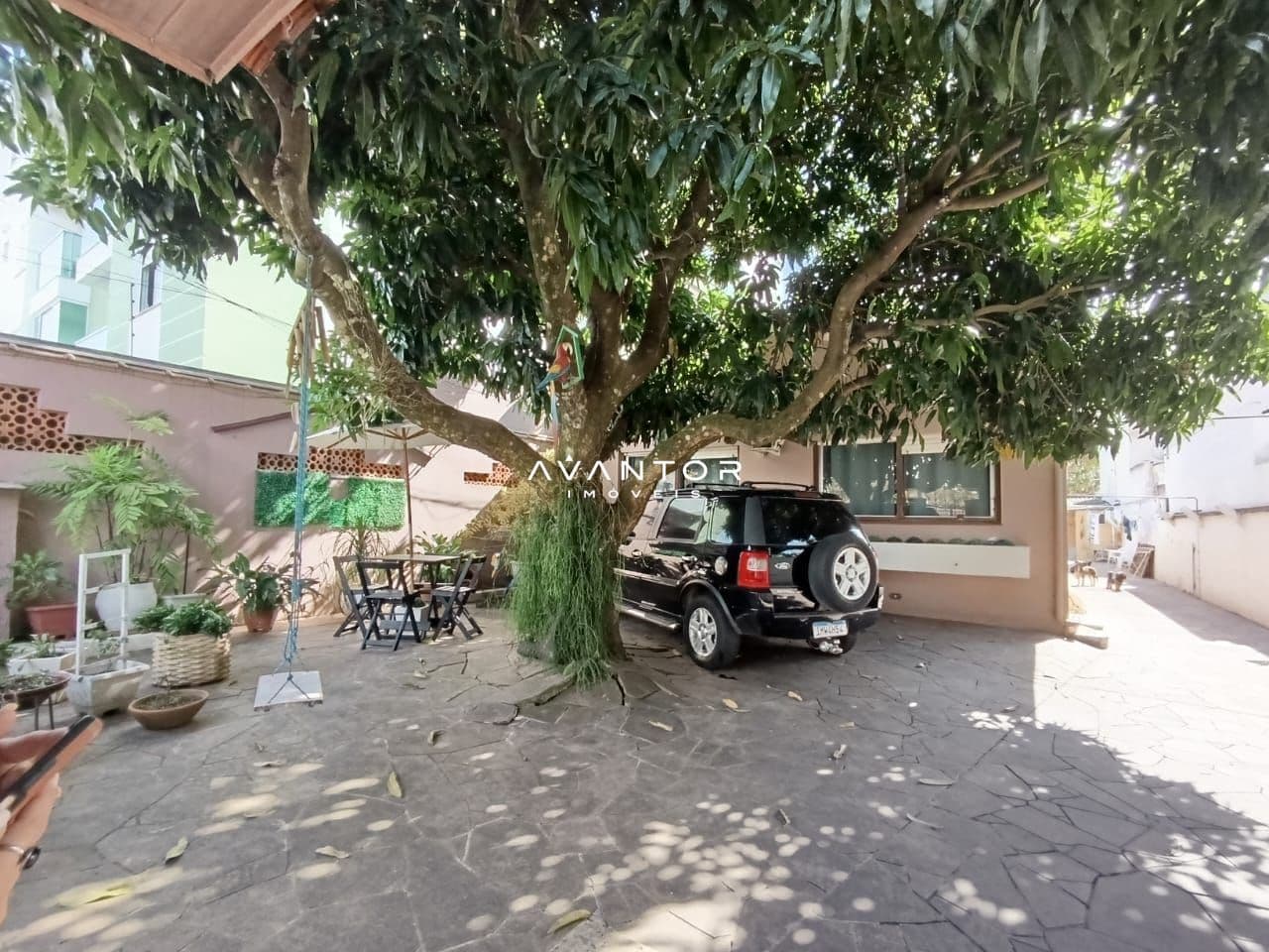 Pátio com árvore e garagem — Casa com 4 quartos à venda em Camobi, Santa Maria/RS