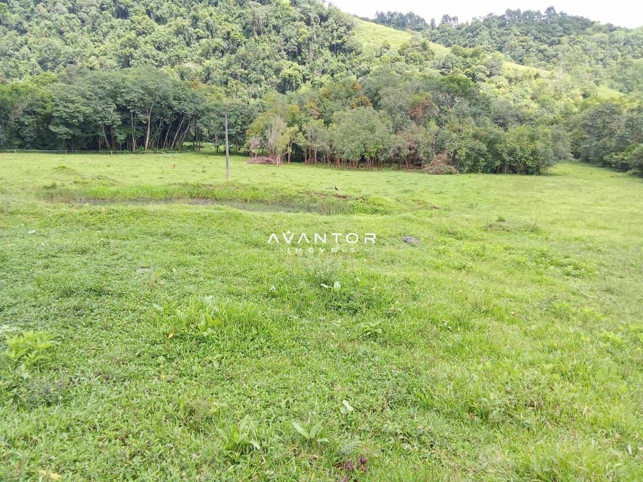 Campo à venda em Braço Forte, Tenente Portela/RS — foto 3 de 9