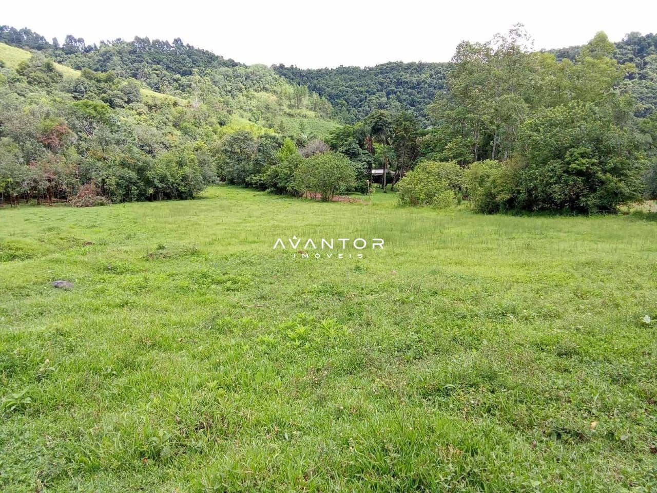 Campo à venda em Braço Forte, Tenente Portela/RS — foto 6 de 9