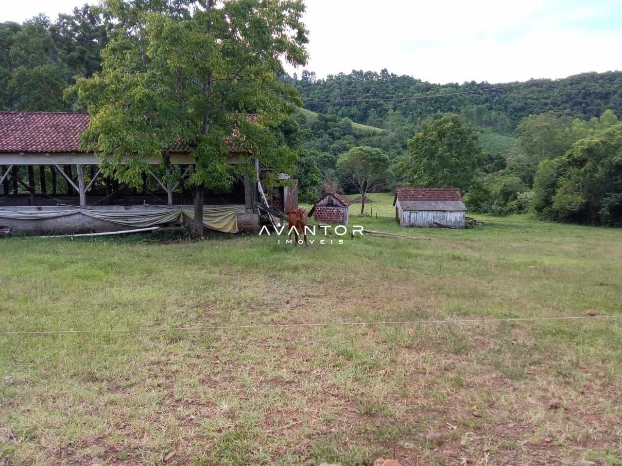 Campo à venda em Braço Forte, Tenente Portela/RS — foto 8 de 9