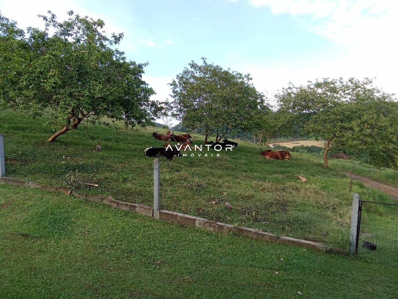 Campo à venda em Braço Forte, Tenente Portela/RS — foto 9 de 9