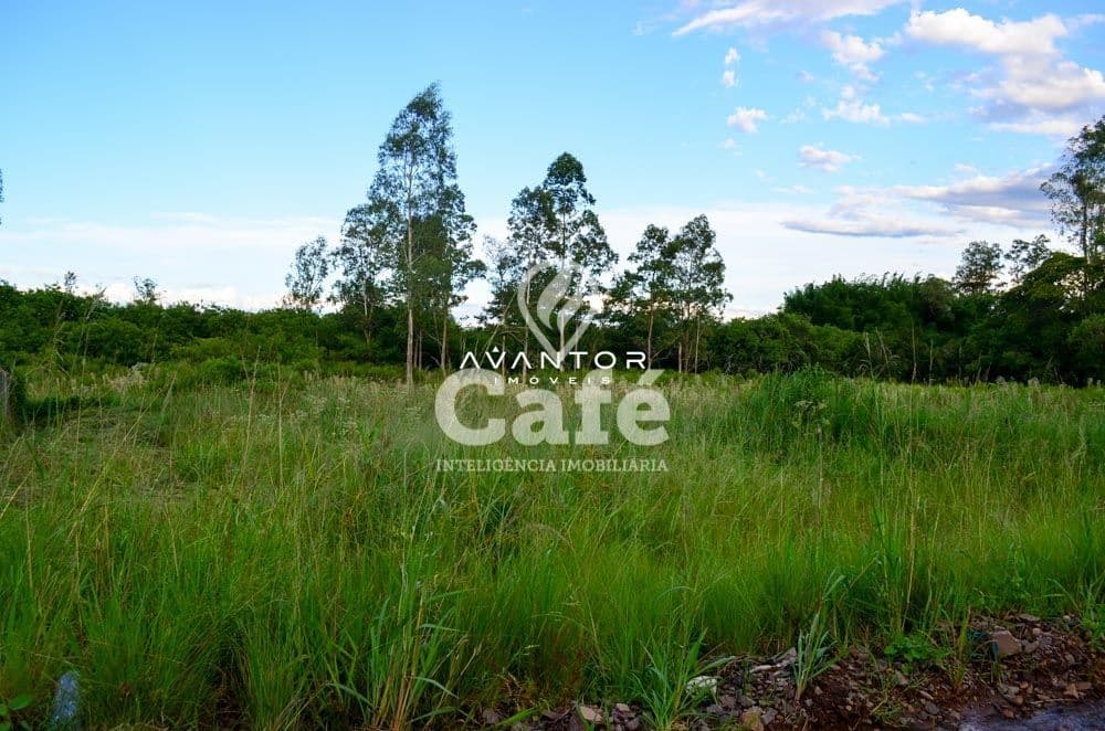 Terreno com vegetação e árvores — Terreno à venda em Diácono João Luiz Pozzobon, Santa Maria/RS
