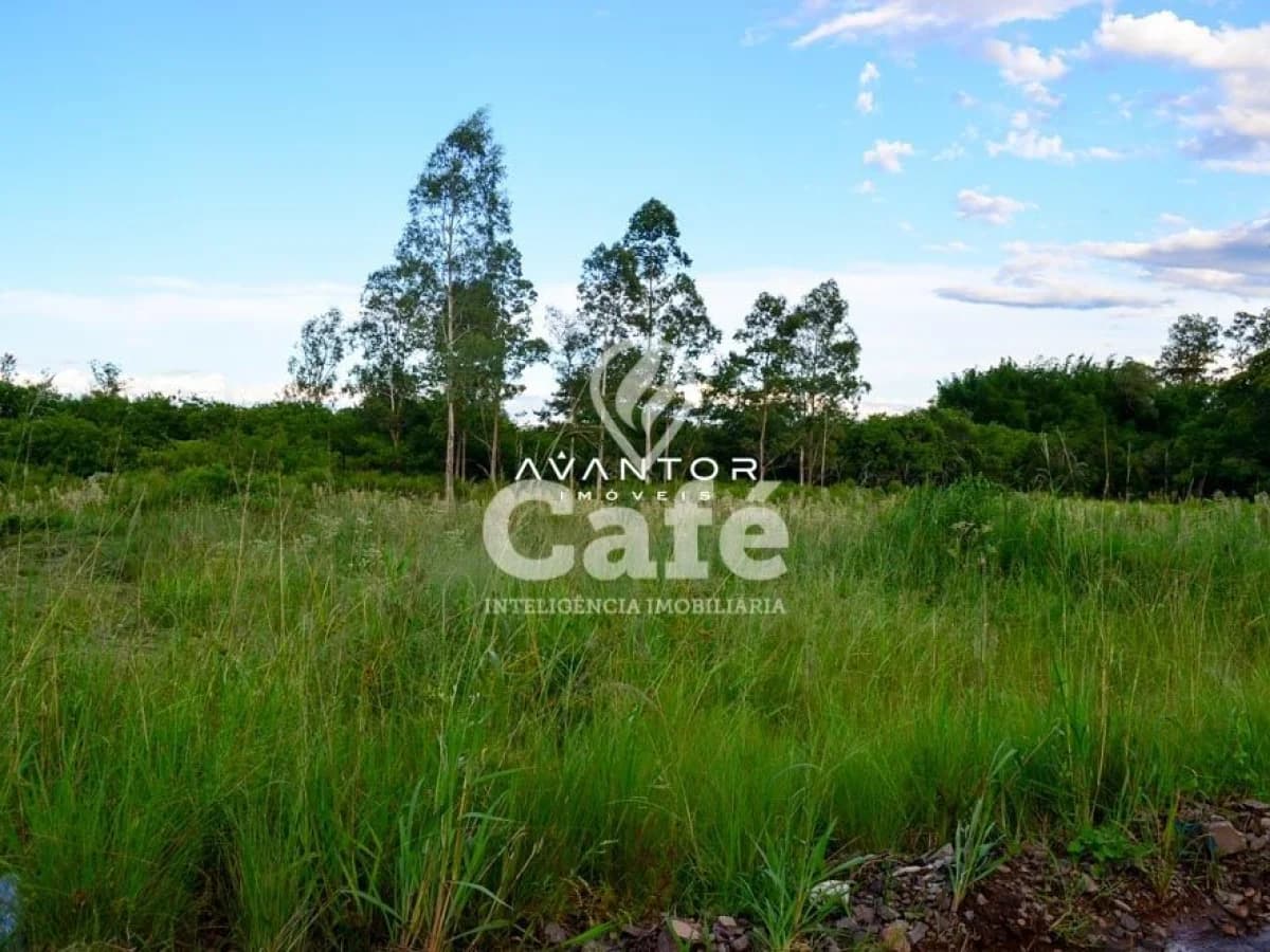 Terreno com vegetação e árvores — Terreno à venda em Diácono João Luiz Pozzobon, Santa Maria/RS