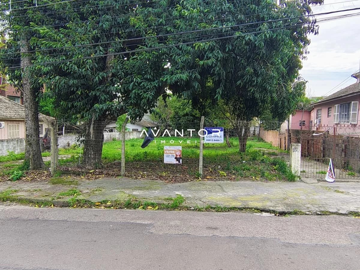 Terreno com árvores de grande porte — Terreno à venda em Nossa Senhora Medianeira, Santa Maria/RS