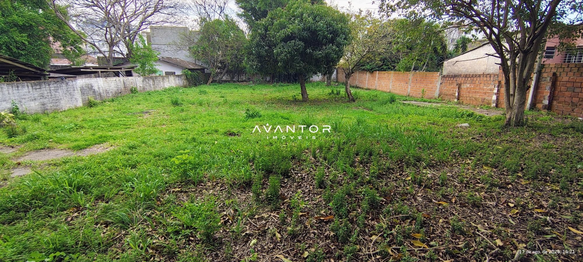 Terreno à venda em Nossa Senhora Medianeira, Santa Maria/RS — foto 3 de 3