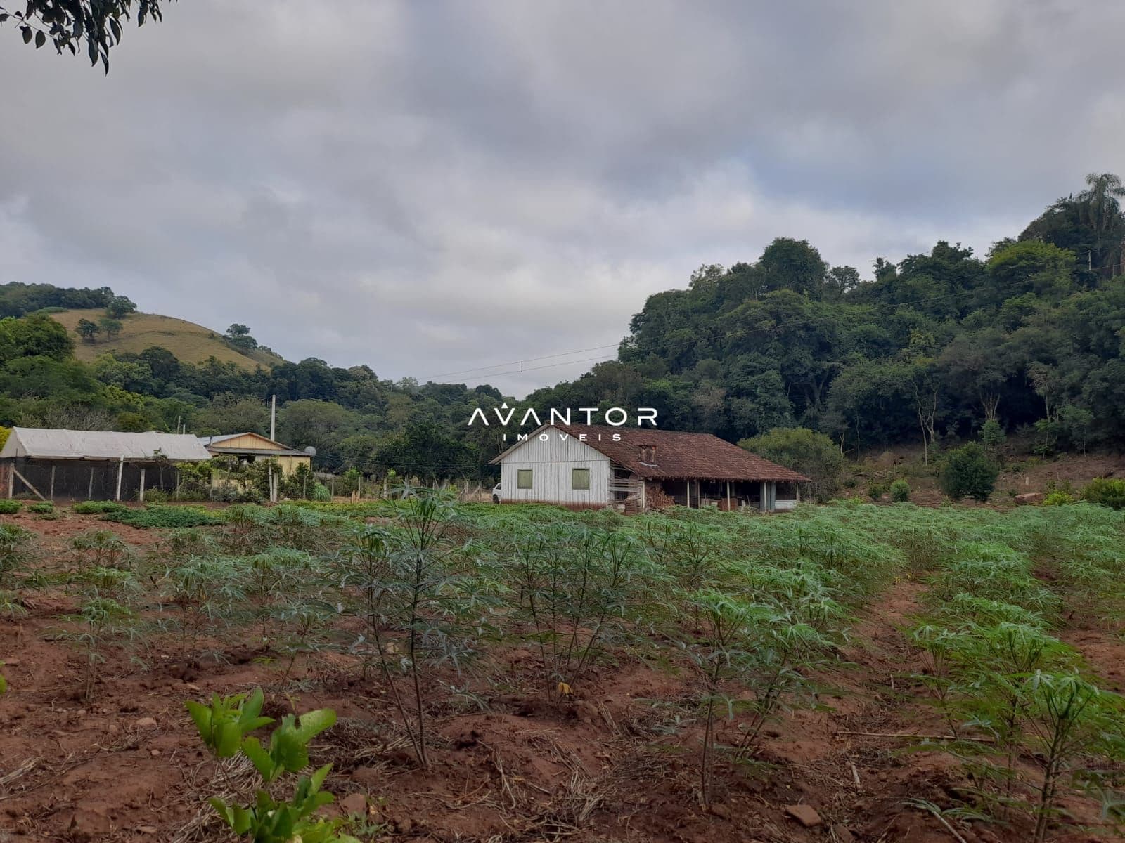 Chácara com 2 quartos à venda em Zona rural, Toropi/RS — foto 4 de 9