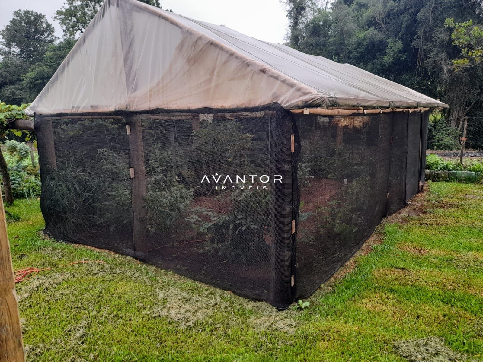 Chácara com 2 quartos à venda em Zona rural, Toropi/RS — foto 5 de 9