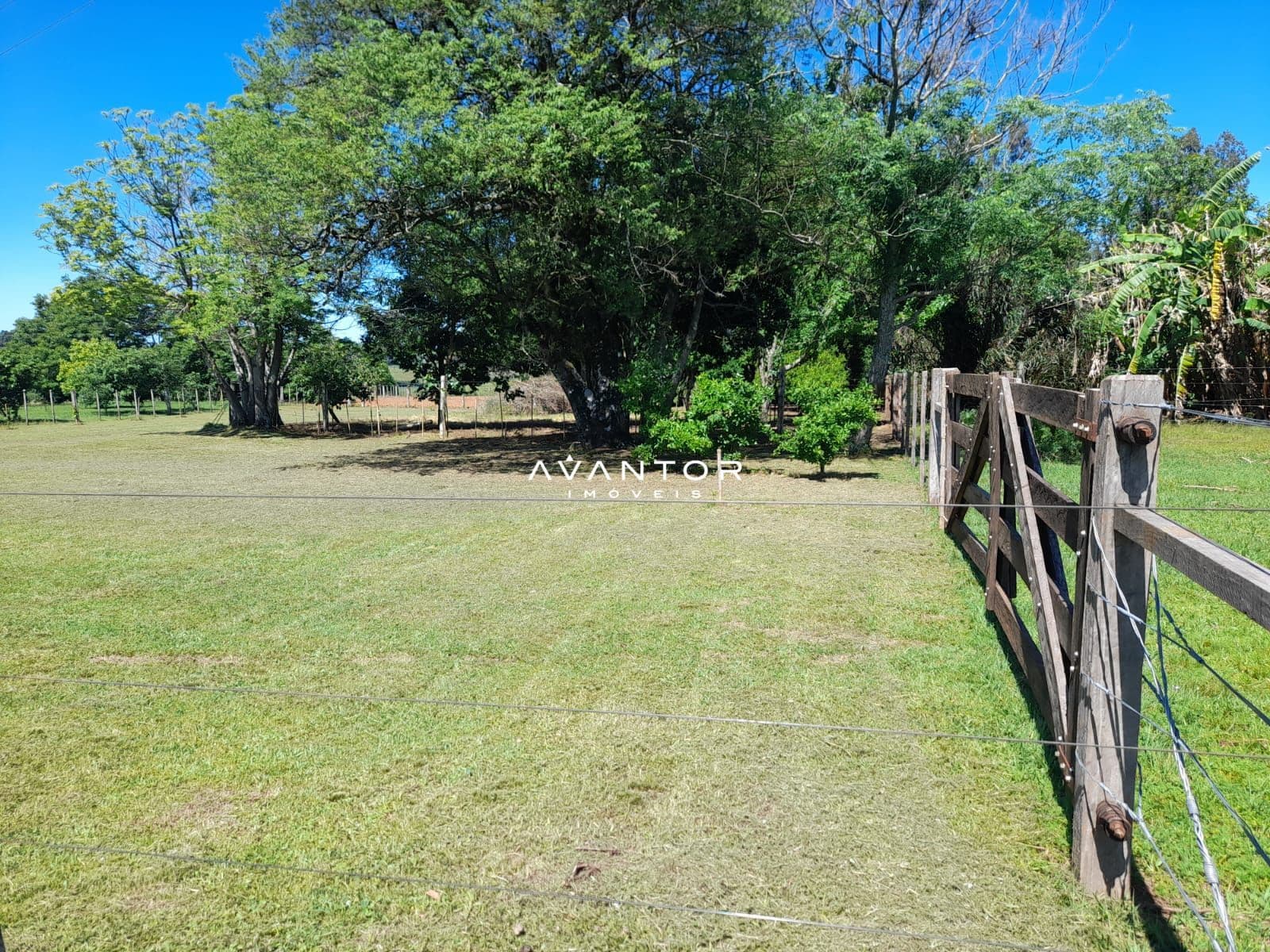 Chácara com 2 quartos à venda em Zona rural, Toropi/RS — foto 6 de 9